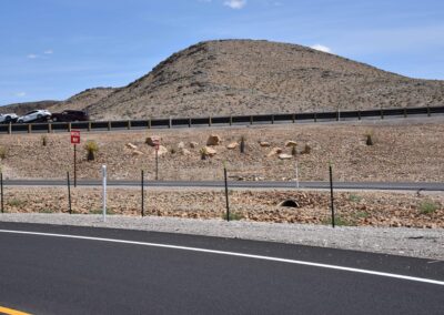 streetscape landscaping las vegas Nevada blue diamond road