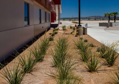 Gardening SECTA High School Las Vegas