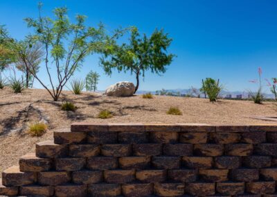 SECTA High School new shrub and tree installation Las Vegas Nevada